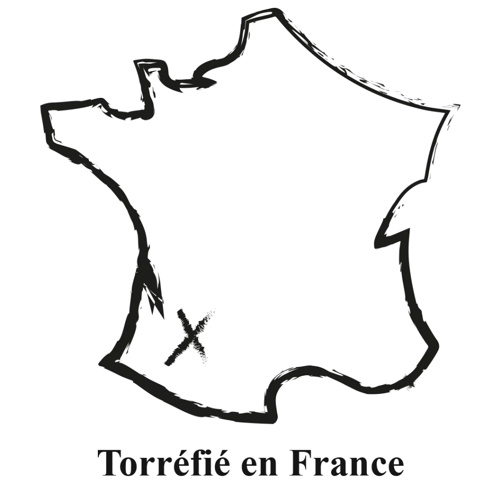 Logo France - Sud Ouest